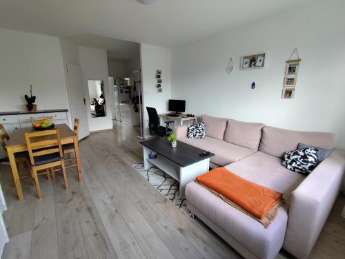 Cozy apartment with a view