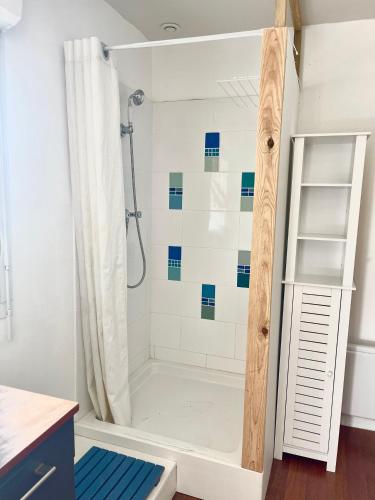 une salle de bain avec douche aux carreaux bleus et blancs dans l'établissement Évasion nature - idéal familles et enfants, à Sainte-Hélène