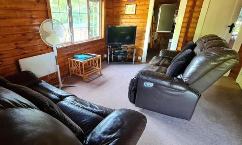 a living room with a leather couch and a television at Cosy log cabin in Snowdonia 19 in Trawsfynydd
