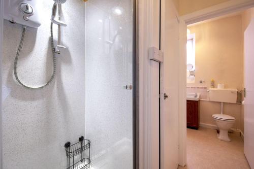 un bagno con doccia e WC di Upcott Cottage a Barnstaple