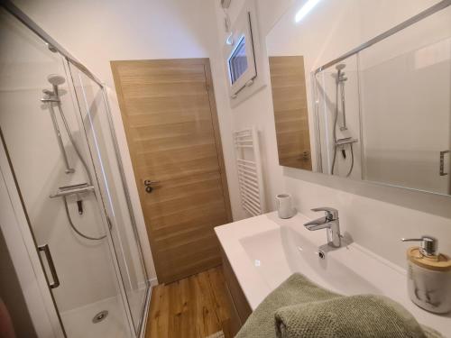 a bathroom with a sink and a shower with a mirror at Au Jardin d'Edel Gîtes Centre Alsace in Dieffenthal
