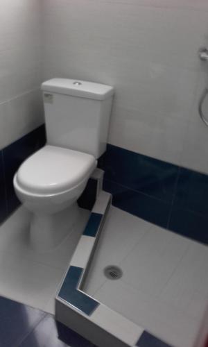 a bathroom with a white toilet in a room at Nikos Hotel in Diafani