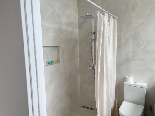 a bathroom with a shower curtain and a toilet at Niabi 3BDR Villa with pool in Tbilisi City
