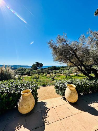 trois grands vases sont posés sur un trottoir dans l'établissement Villa Esden & adjoined outbuilding - Sea view, swimming pool, air conditioning, absolute calm, 5000 m2 land, à La Ciotat