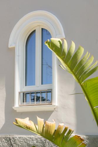 a window in a white building with a green plant at VILLA MADRE Suites e Private Spa in Grottaferrata