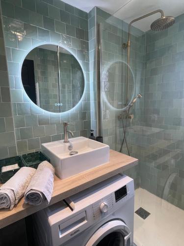 une salle de bain avec un lavabo et une machine à laver dans l'établissement L auditorium - Parc des Expositions et Congrès, à Dijon