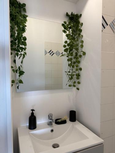 - un lavabo avec 2 plantes au-dessus dans l'établissement Studio Fréjus Plage l Clim l WiFi l Parking privé, à Fréjus
