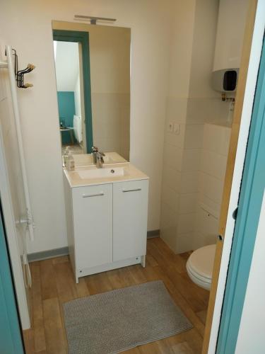 une salle de bain avec un lavabo et un miroir et des toilettes dans l'établissement Studio 8, à Perrigny