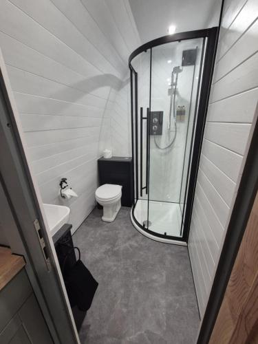 a small bathroom with a shower and a toilet at Little Abrach Pod in Inverlochy