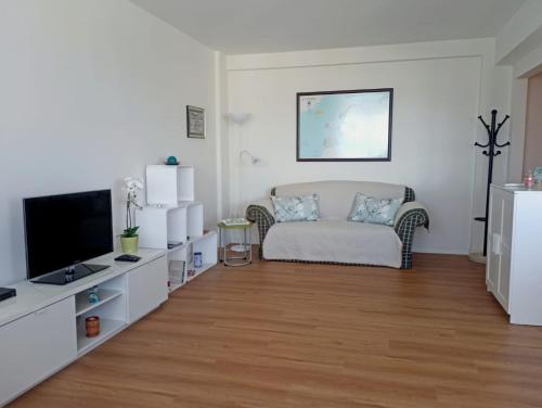 a living room with a couch and a television at Vistas Sobre O Rio Tejo in Lisbon
