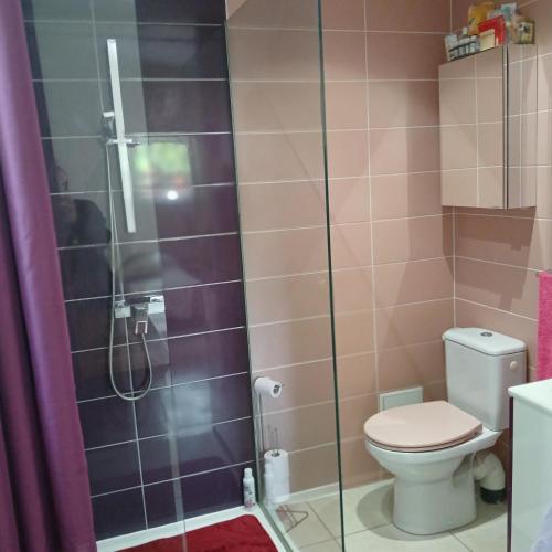 une salle de bain avec toilettes et douche en verre dans l'établissement la roseraie, à Six-Fours-les-Plages