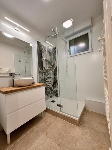 une salle de bain avec un lavabo et une douche dans l'établissement magnifique T2 vue sur parc, à Capbreton