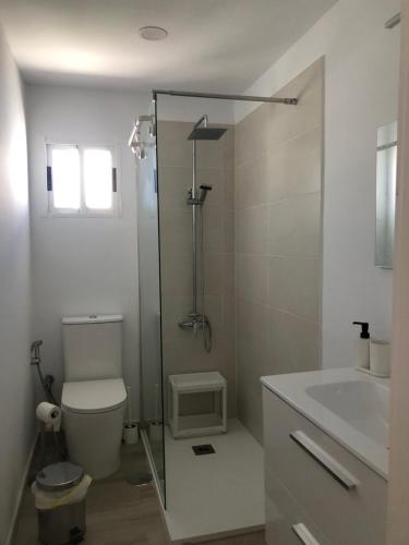 a bathroom with a shower and a toilet and a sink at Casa Yolanda in Tías