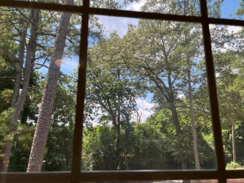 Fotografie z fotogalerie ubytování Just Peachy 2BR 2BA Private Luxury Apartment v destinaci Atlanta