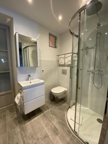 une salle de bain avec une douche, des toilettes et un lavabo dans l'établissement Menton - SABLETTES BEACH VIEW, à Menton