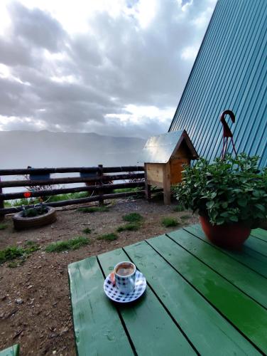 a cup of coffee sitting on a green picnic table at Sunčani Brijeg Eco Village in Plav