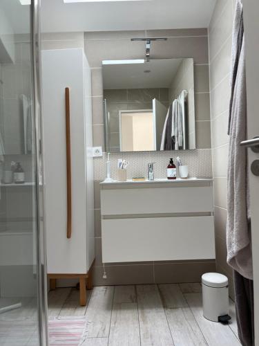 une salle de bain avec un lavabo et un miroir dans l'établissement Chambre privée Fer à cheval, à Toulouse