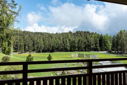 a view of a field with trees in the background at Hotel Pinei in Ortisei