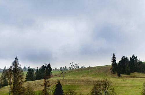 a green field with trees on a hill at Serce Pienin in Jaworki