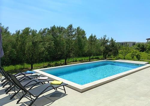 Πισίνα στο ή κοντά στο Villa DaLi Pomer
