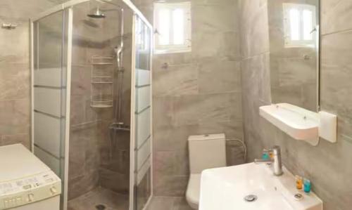 a bathroom with a shower and a sink and a toilet at Tonia's guest house in Sami