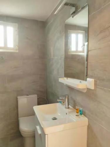 a bathroom with a sink and a mirror and a toilet at Tonia's guest house in Sami