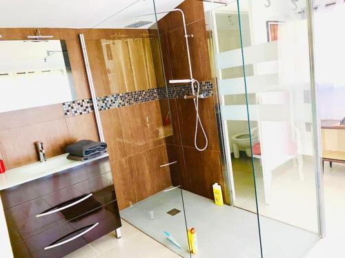 une salle de bain avec une douche avec une porte vitrée dans l'établissement Villeneuve Ravissante suite à 10mn de Forcalquier, à Villeneuve