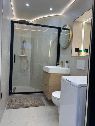 une salle de bain avec une douche, des toilettes et un lavabo dans l'établissement 2 pièces centre Juan moderne avec piscine tennis, à Antibes