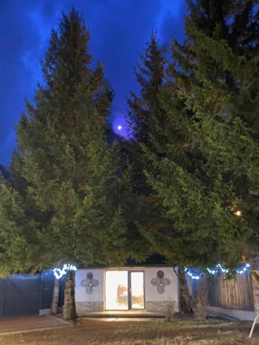 a house with christmas lights in front of two trees at Chalet Solaris in Buşteni