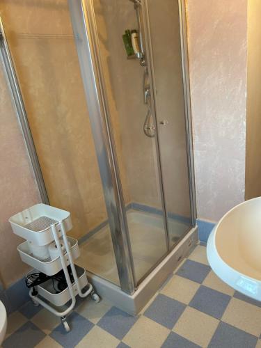a shower in a bathroom with a toilet and a sink at Podere Diacciolini near Massa Marittima in Fontalcinaldo