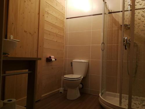une salle de bain avec toilettes et douche dans l'établissement cottage with view of La Grave La Meije, à La Grave