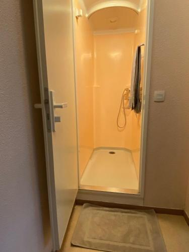 La salle de bains est pourvue d'une petite douche avec une porte en verre. dans l'établissement Appartement à la montagne 10 chambres 5 douches and 4 WC, à Argelès-Gazost
