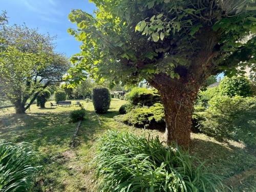 a tree in the middle of a garden at La maison de Jean-Pierre  in Devecey