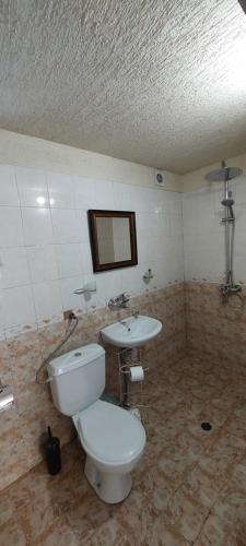 Ένα μπάνιο στο Guest House Planinski Zdravets