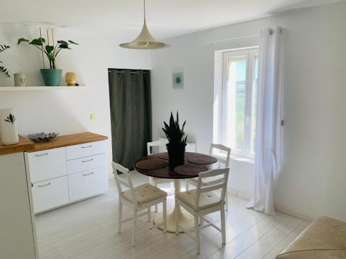 une cuisine avec une table et des chaises dans une pièce dans l'établissement 5 mn Vienne, confort et calme à la campagne - Le 2ème, à Reventin-Vaugris