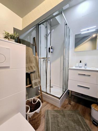 une salle de bain avec douche et lavabo dans l'établissement Le Petit Pontoise, à Pontoise
