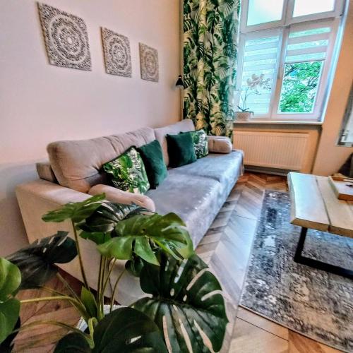 Apartament Mickiewicz - Center, wifi