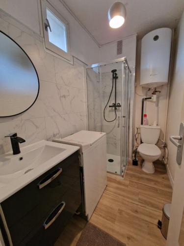 une salle de bain avec un lavabo, une douche et des toilettes dans l'établissement Studio centre 100 m plage et port avec parking, à Saint Cyprien Plage