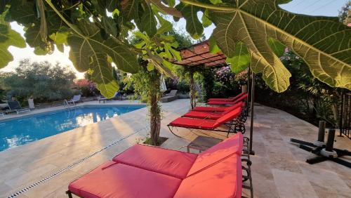 - un groupe de chaises longues rouges à côté de la piscine dans l'établissement La BERGERIE, à Pélissanne