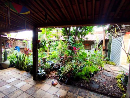 a patio with a bunch of plants in a yard at O Candeeiro - Hostel Acampamento in Arcoverde
