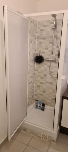 La salle de bains est pourvue d'une douche et de 2 toilettes. dans l'établissement Le prestige, à La Celle-sous-Gouzon