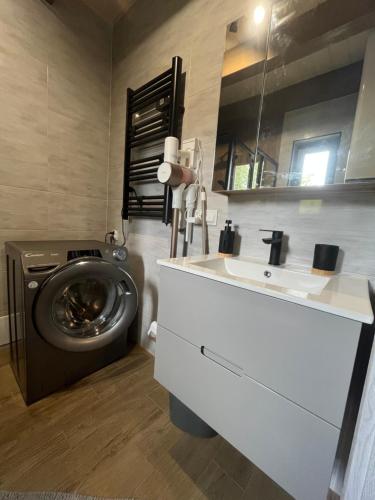 un bagno con lavatrice e lavandino di Willa Pod Dębami II domek nad zalewem Chańcza z balią oraz sauną na wyłączność a Życiny