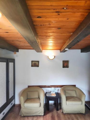 two chairs in a living room with a wooden ceiling at Bed and Breakfast Tvrz in Velká Bukovina