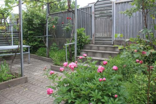 a garden with pink flowers and a fence at Guesthouse - Happy house in Kutaisi in Kutaisi