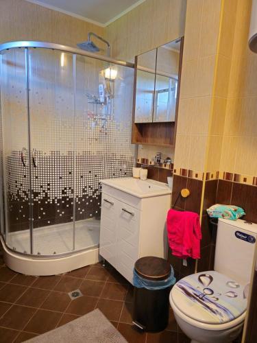 a bathroom with a shower and a toilet at TheHorizon Room in Tsarichino
