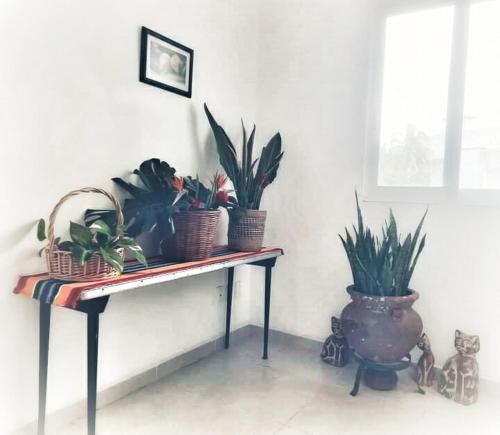Gambar di galeri bagi villa frida con alberca di Martínez de La Torre