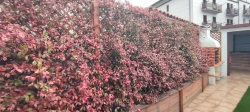 a retaining wall with red flowers on it at Vivienda Rural Perotxenea Landetxea in Doneztebe