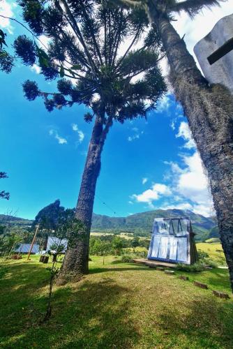 a palm tree and a monument in a field at Morada do Guardião - Soldados Sebold in Barracão