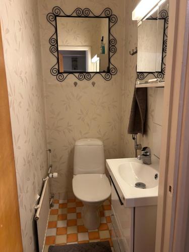 a bathroom with a toilet and a sink and a mirror at "Nitton" loistava sijainti Tammisaaren keskustassa in Ekenäs