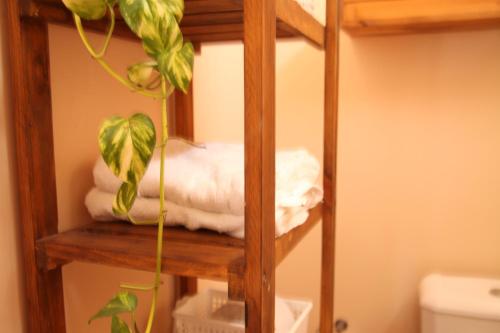 a wooden shelf with towels and a plant on it at La Casona, vistas al boulevard in La Plata